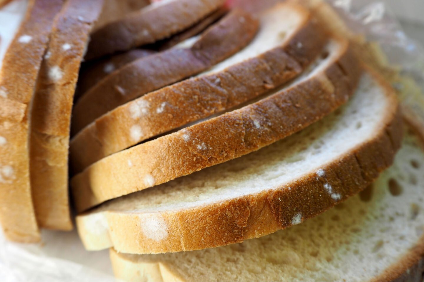 storage - How to tell apart mold and flour on sourdough bread