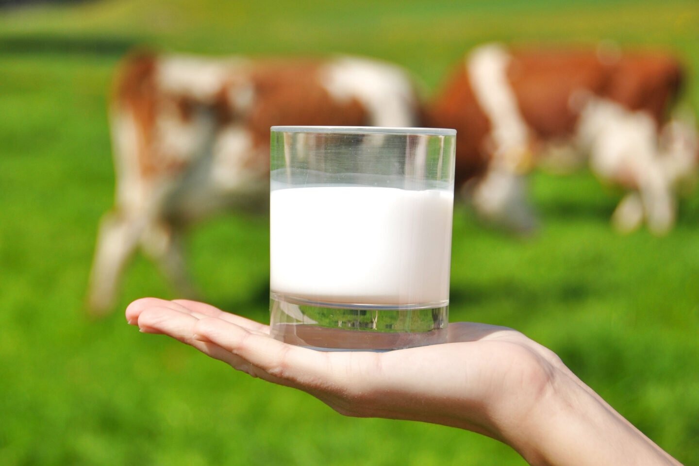 woman holding up a glass of milk