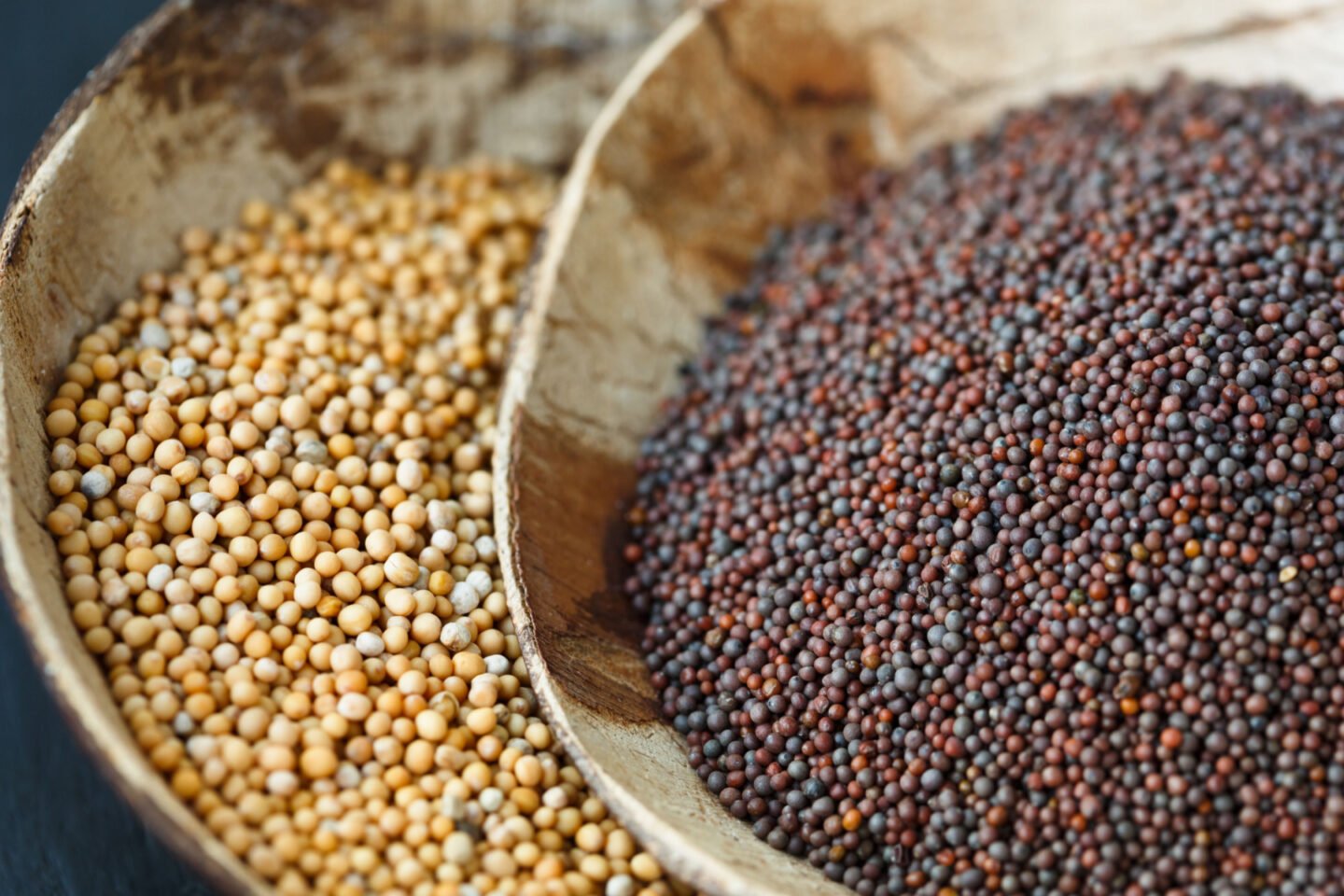 yellow and brown mustard seeds