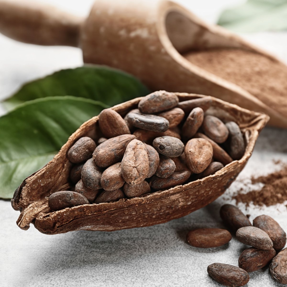 cacao seeds in cacao pod crushed cacao in wooden spoon in background