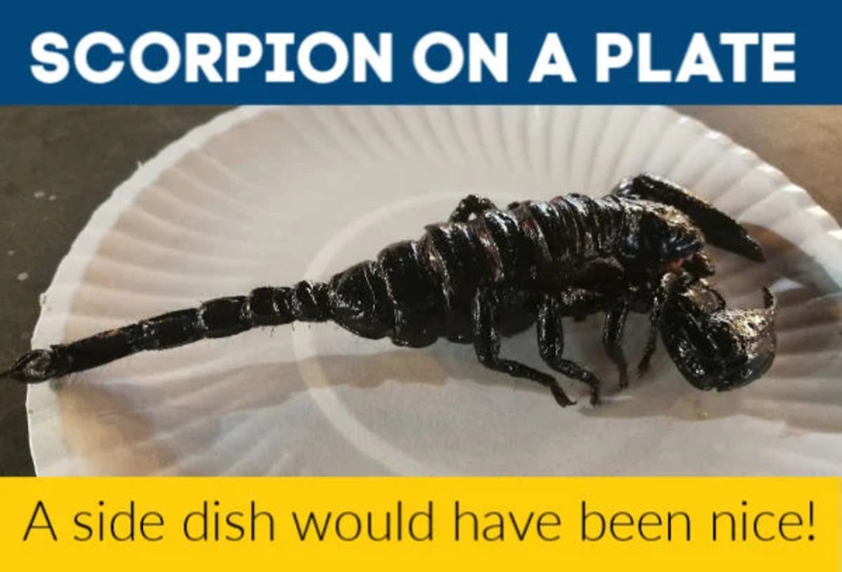 cooked scorpion on a paper plate 1