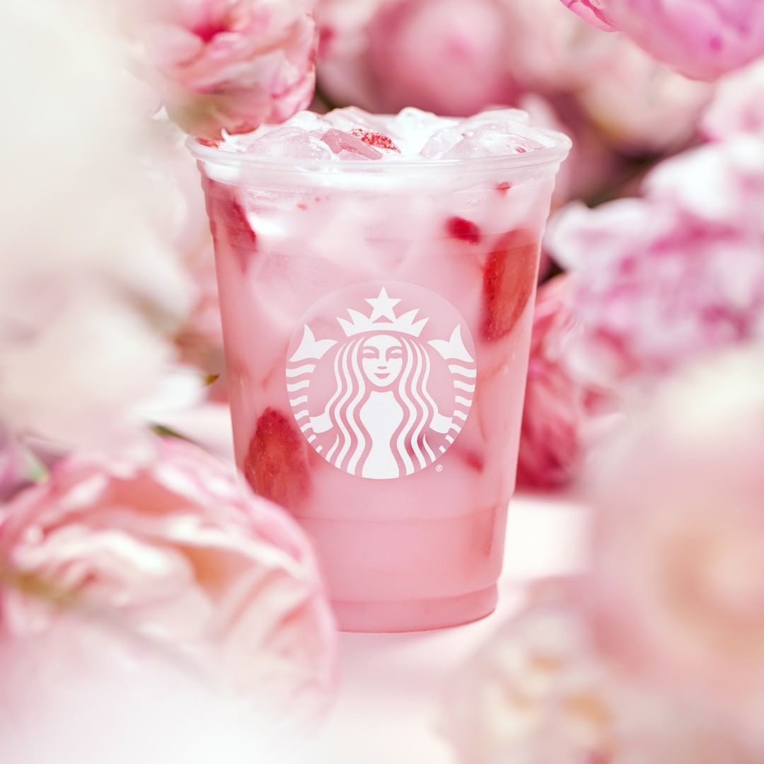 cup of starbucks pink drink surrounded by pink flowers