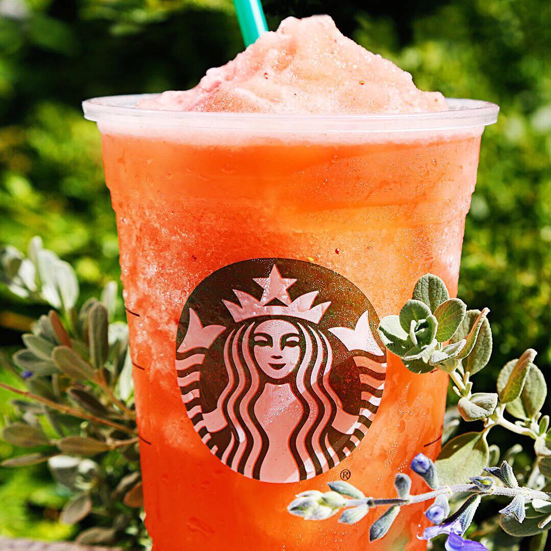 cup of starbucks strawberry lemon limeade with leaves and greenery in background