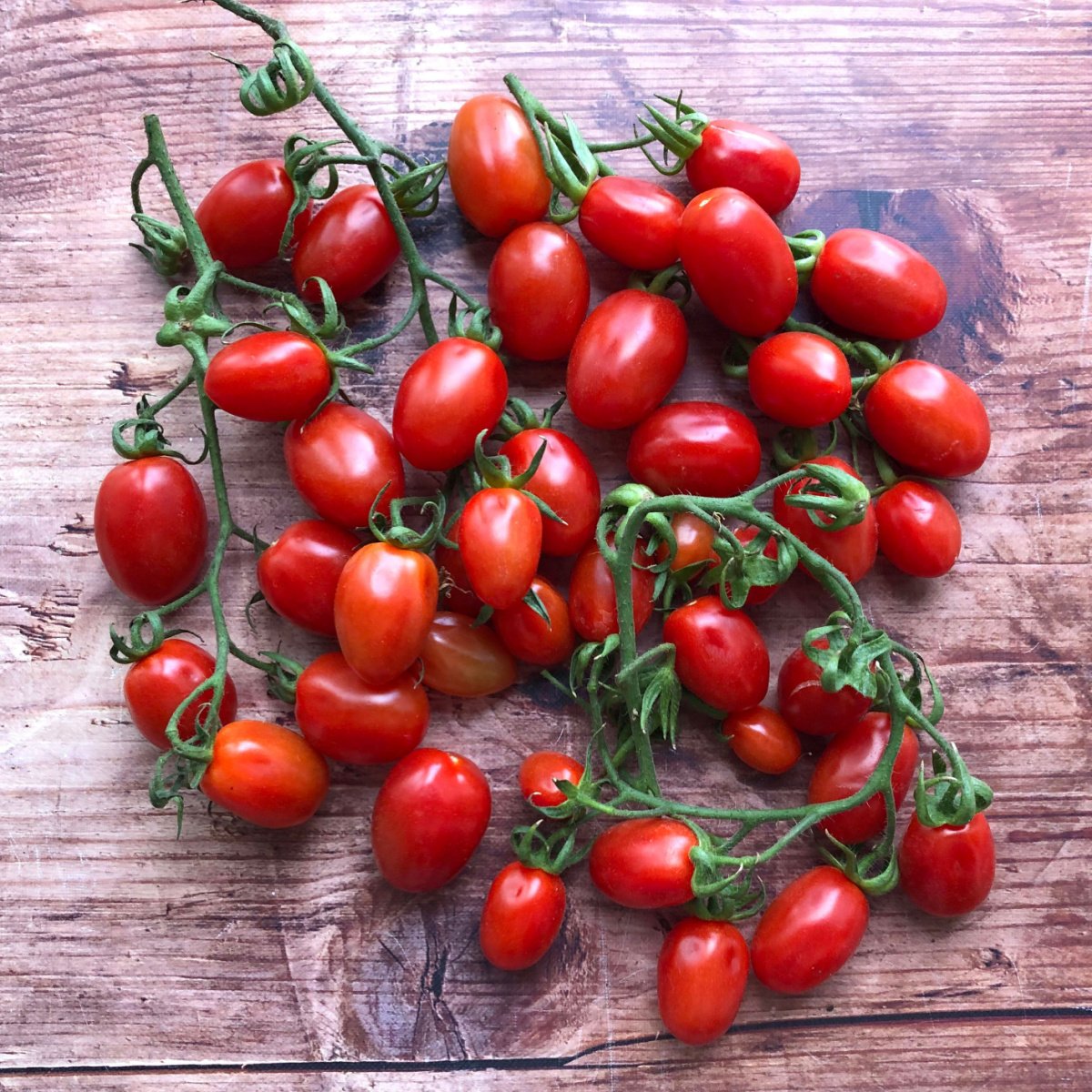 fresh plum tomatoes