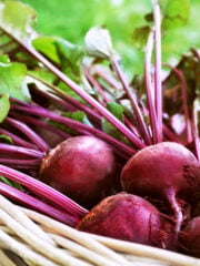 Beets and Diabetes: Are Beets Good For Diabetics?