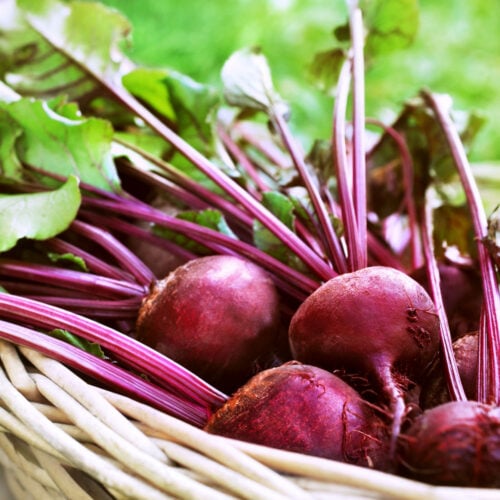 Beets and Diabetes Are Beets Good For Diabetics? Tastylicious