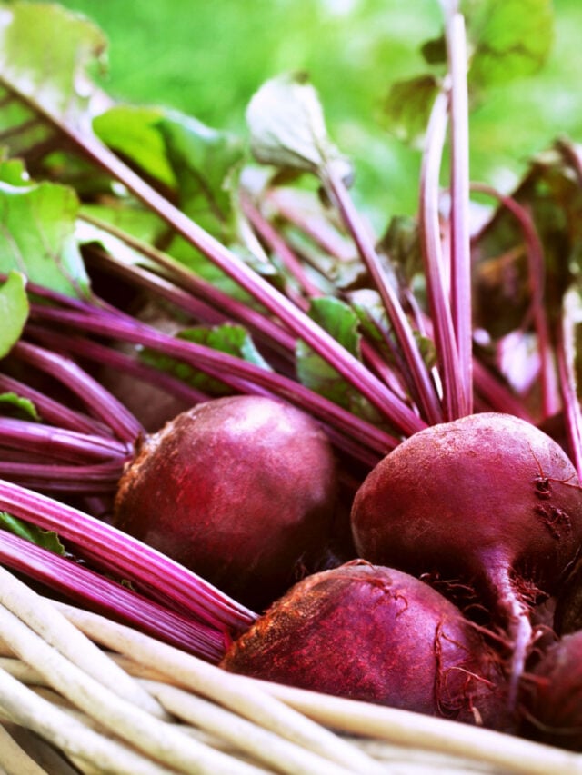 Are Beets High in Potassium? Tastylicious