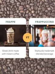 Frappe Vs Frappuccino: All Differences Explained