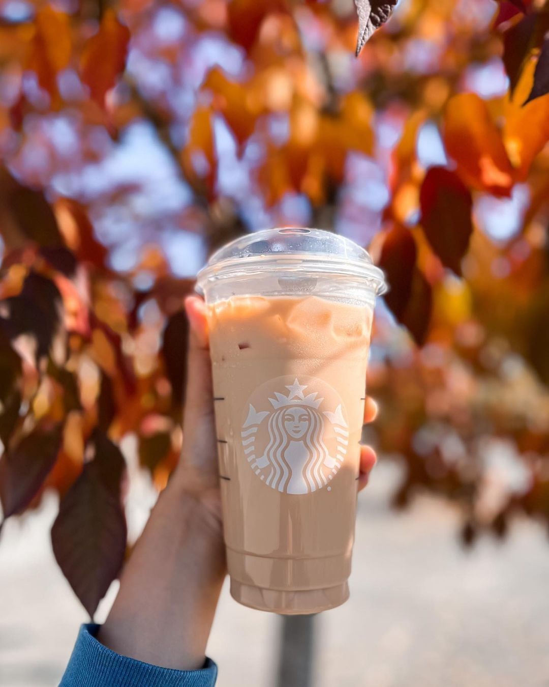 hand golding up starbucks cup fall leaves in background