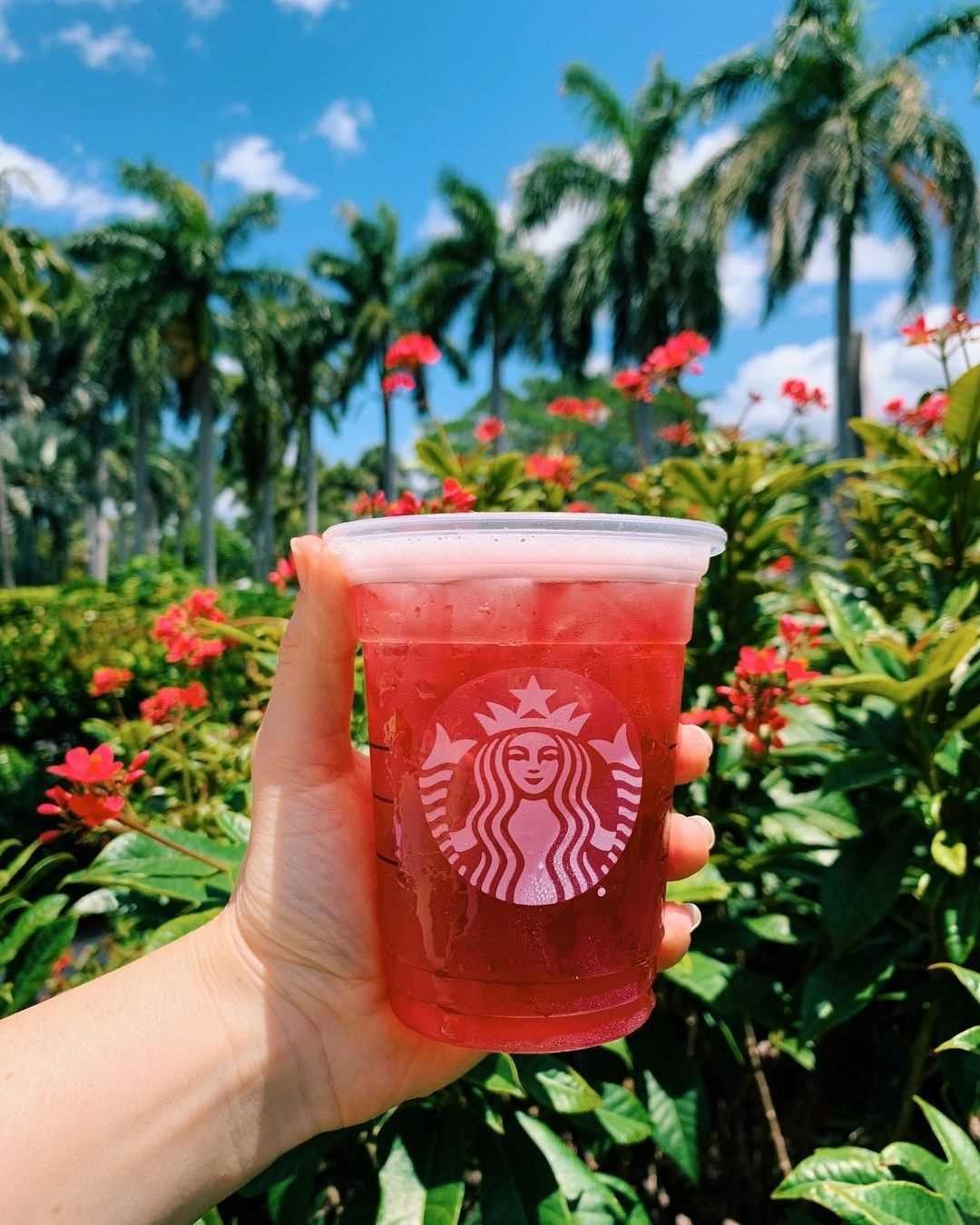 hand holding cup of starbucks iced passion tango tea summery background