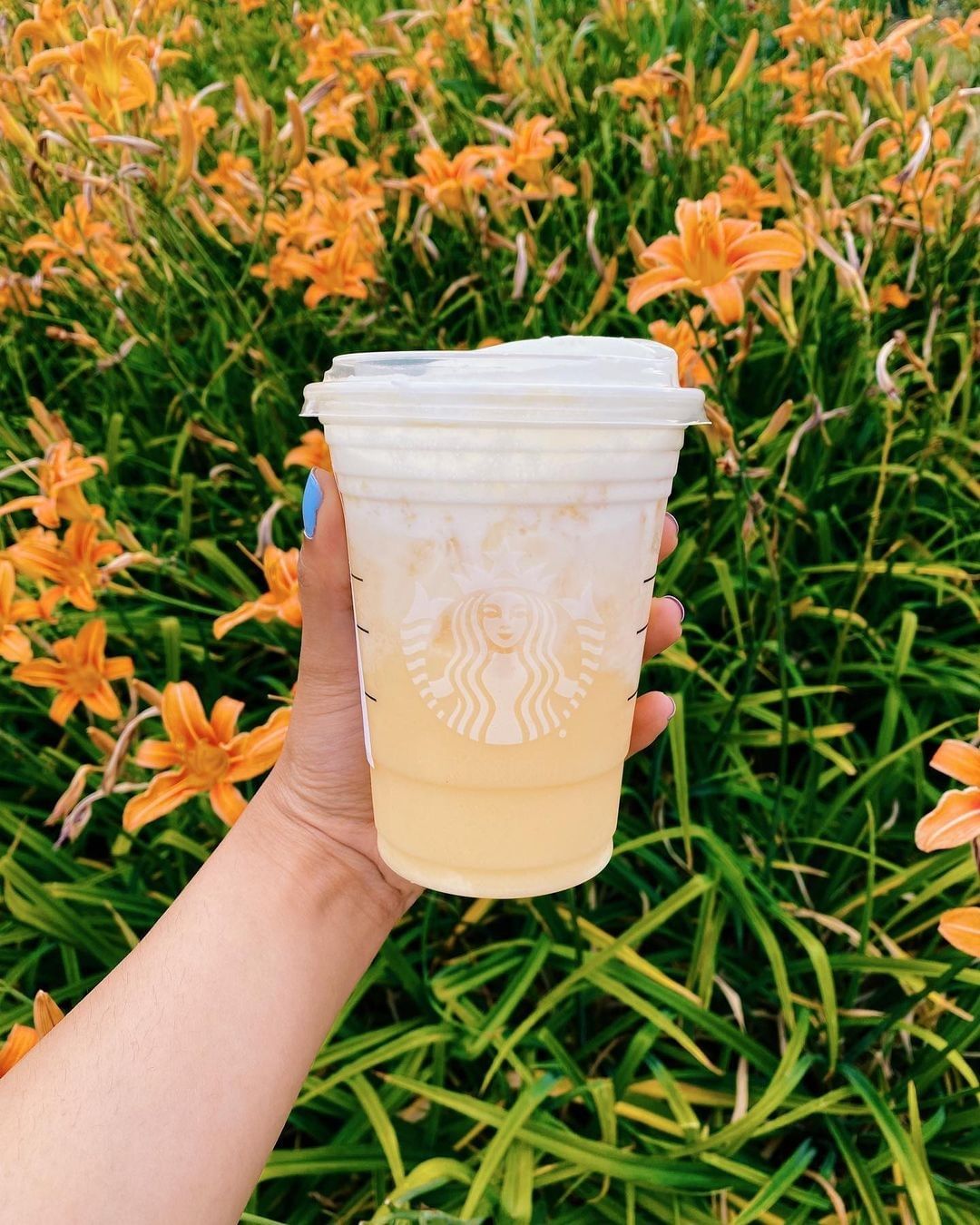 hand holding cup of starbucks paradise drink topped with vanilla sweet cream