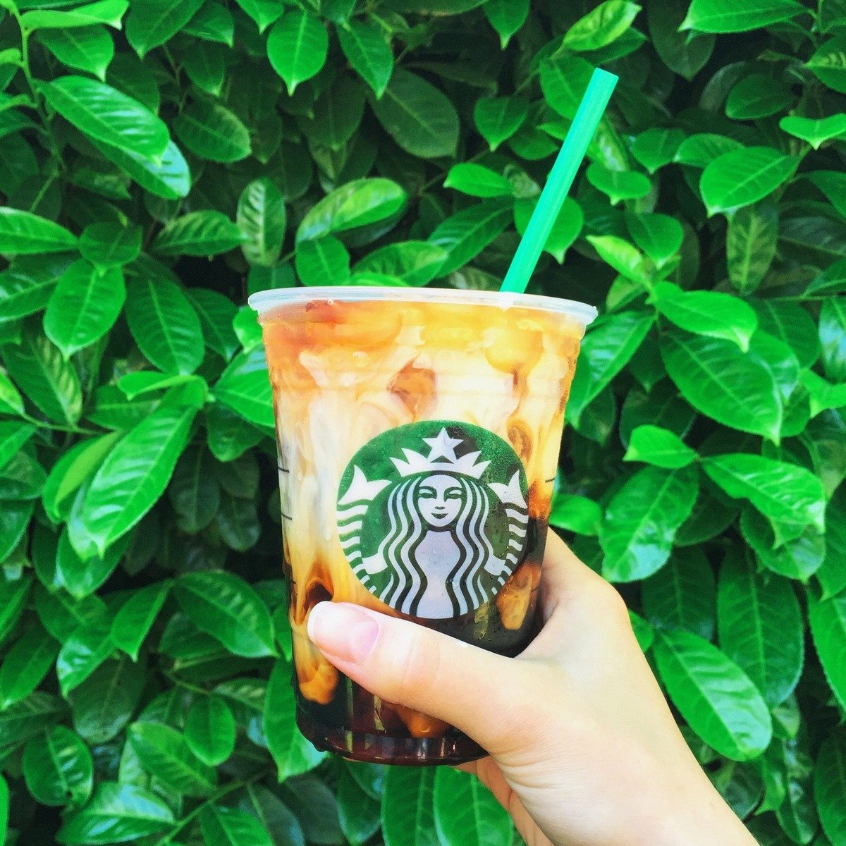 hand holding up cup of starbucks vanilla sweet cream cold brew green leafy background