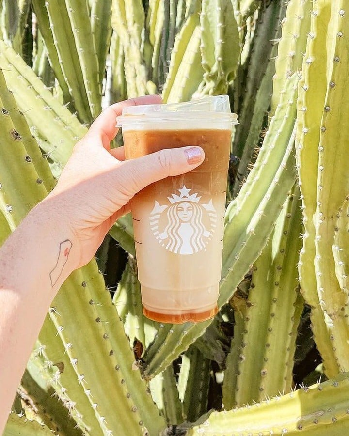 hand showing cup of starbucks iced caramel macchiato in front of cacti