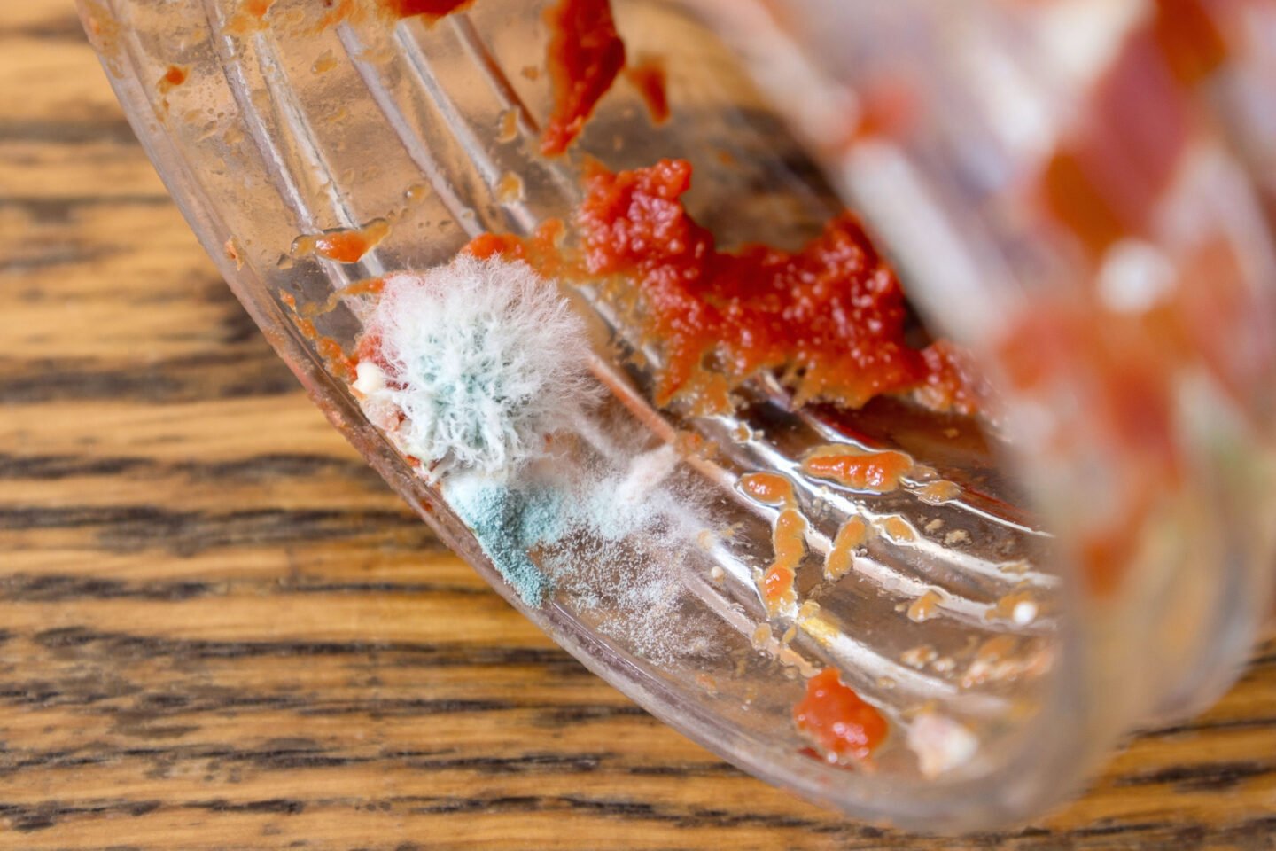 mold found in a jar of red sauce