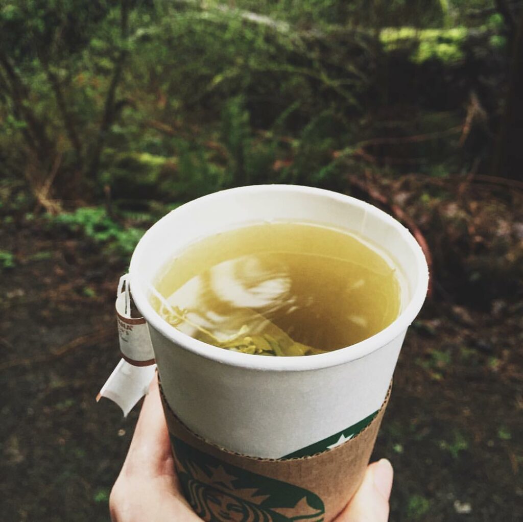 The 3 Best Starbucks Drinks for a Sore Throat Tastylicious