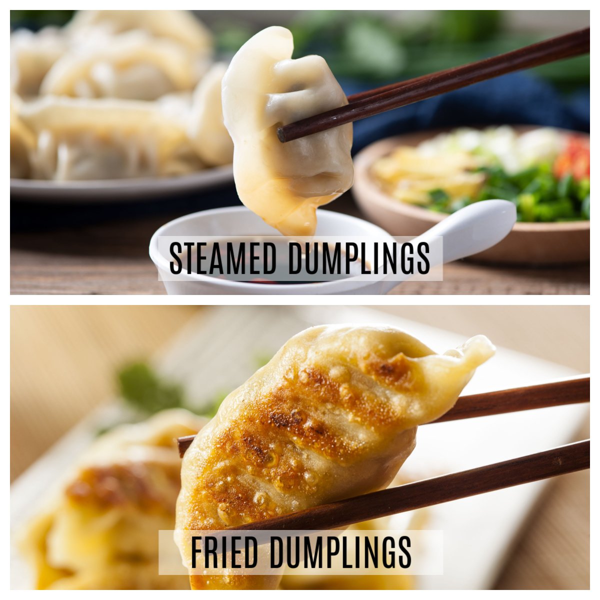 steamed vs fried dumplings