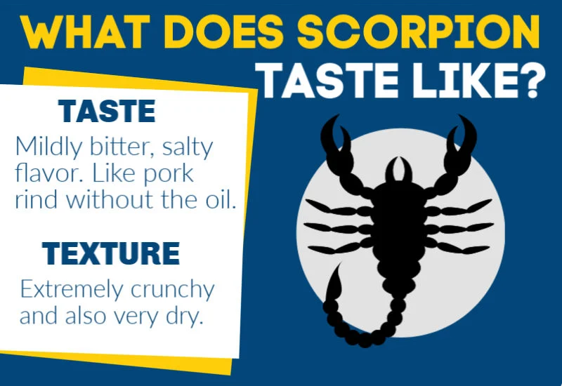 taste of scorpion