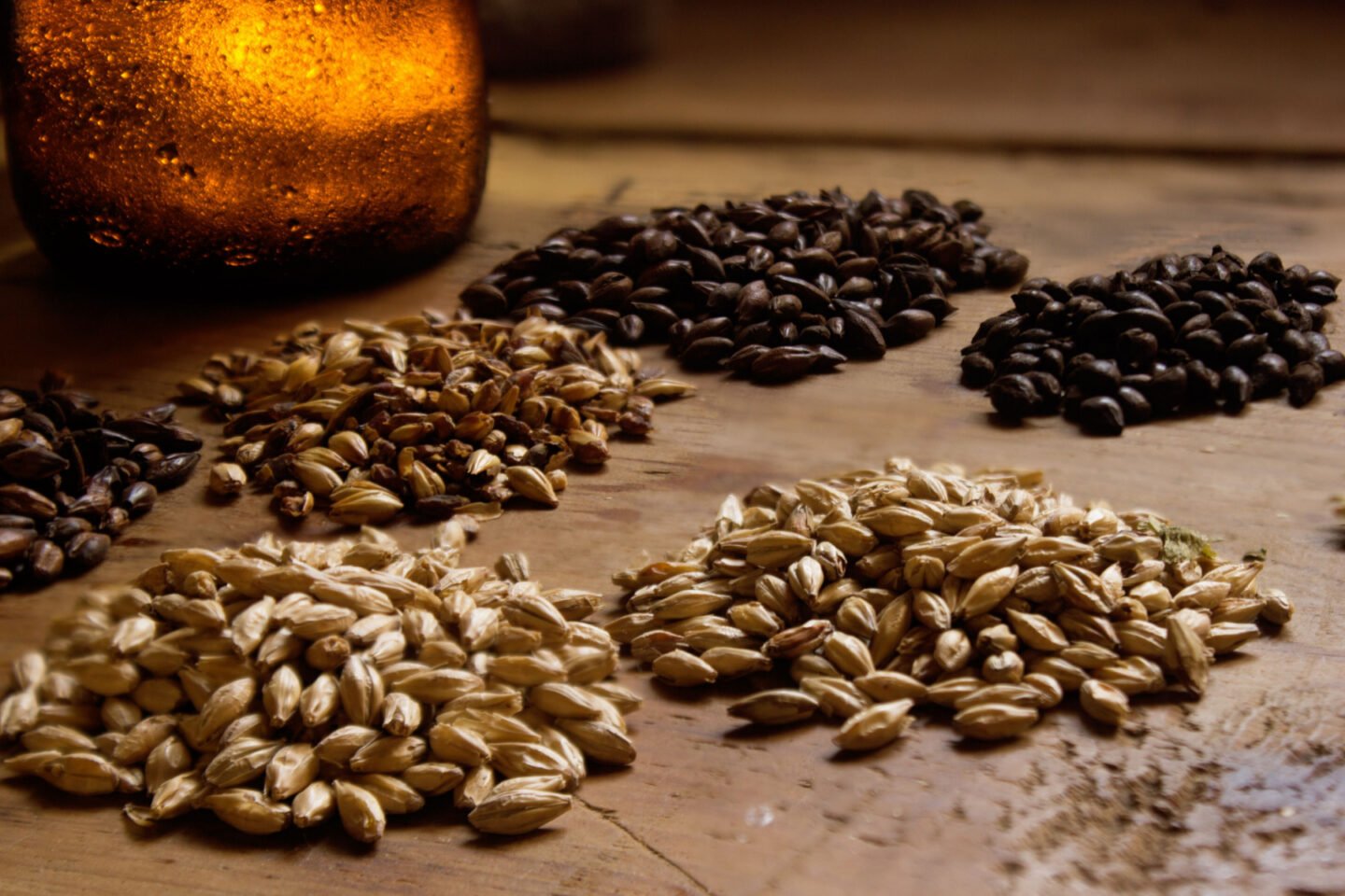 varieties of barley