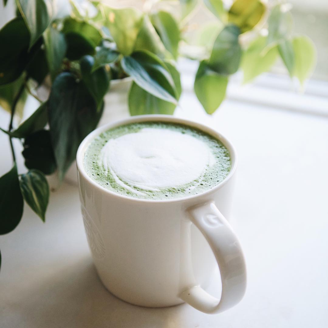 warm matcha green tea latte in white starbucks ceramic mug