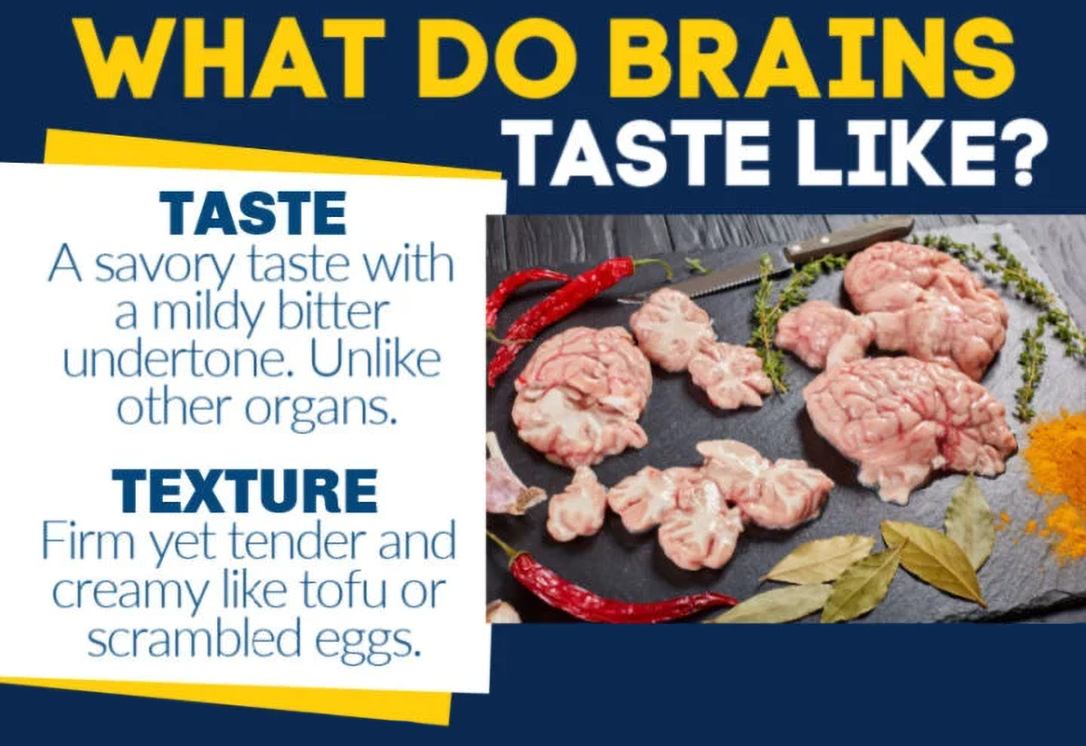 what do brains taste like