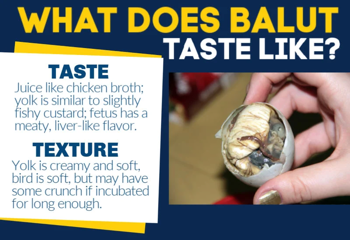 what does balut taste like
