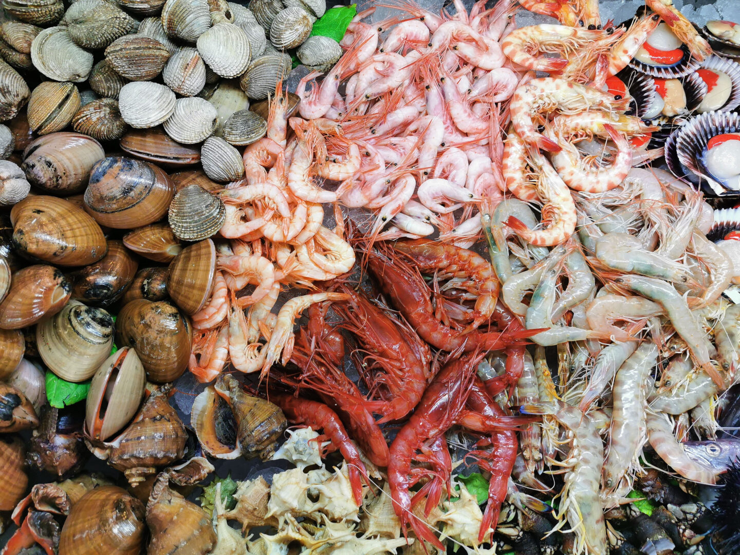 different types of seafood