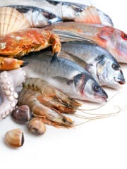 Is Seafood Halal? Everything Explained.