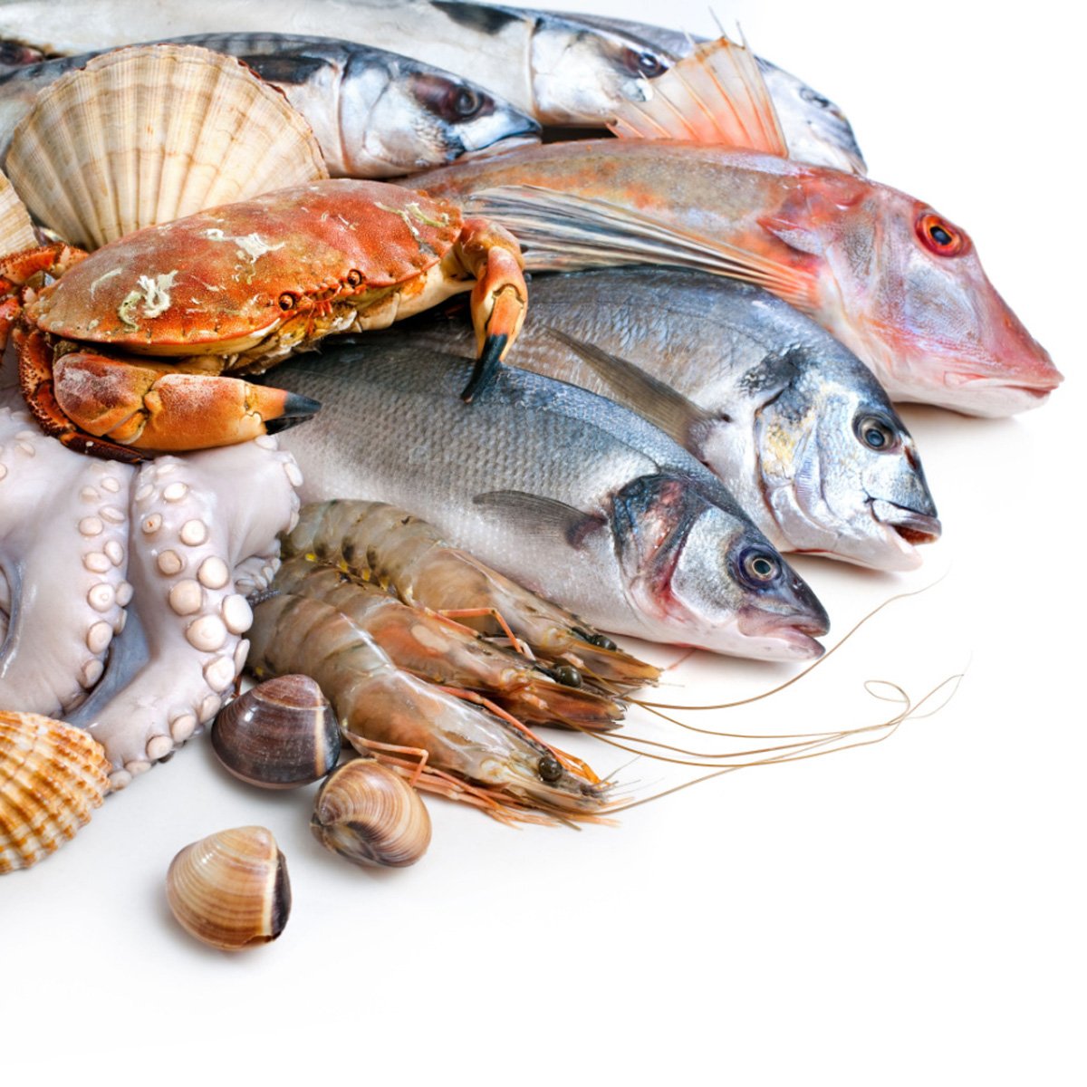 is-seafood-halal-everything-explained-tastylicious