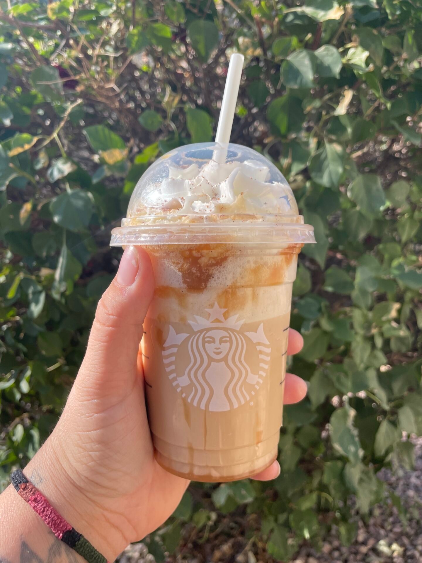 hand holding cup of starbucks funnel cake frappuccino with leaves in background