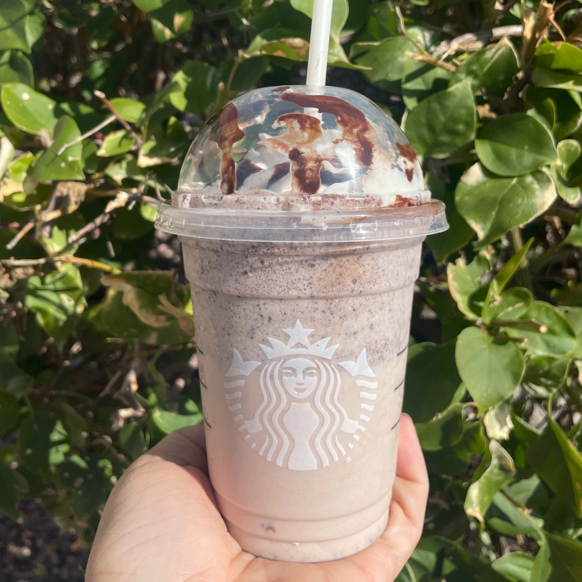 hand holding cup of starbucks secret menu drink oreo frappuccino on one hand