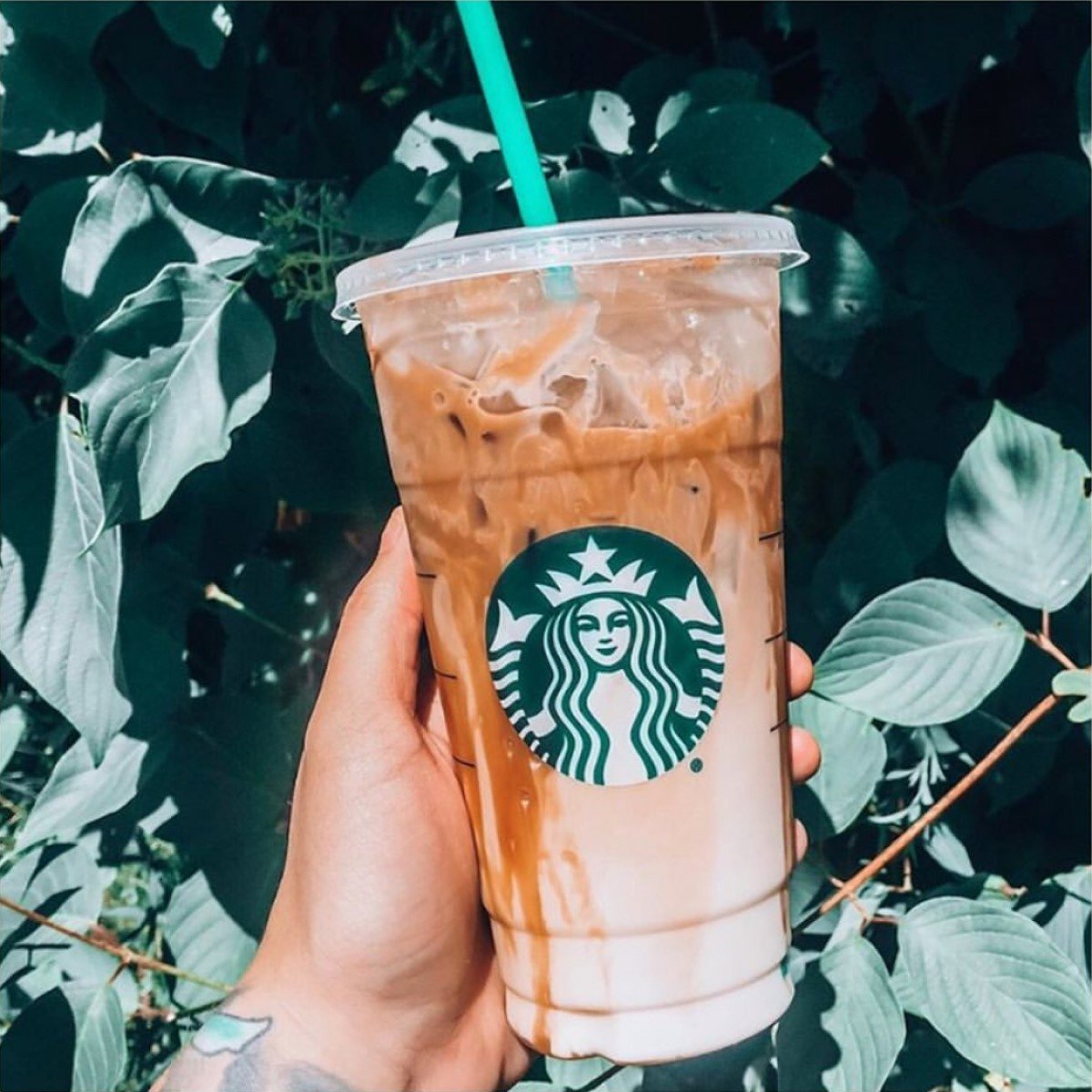 hand holding up cup of starbucks iced caramel macchiato in transparent cup green leafy background