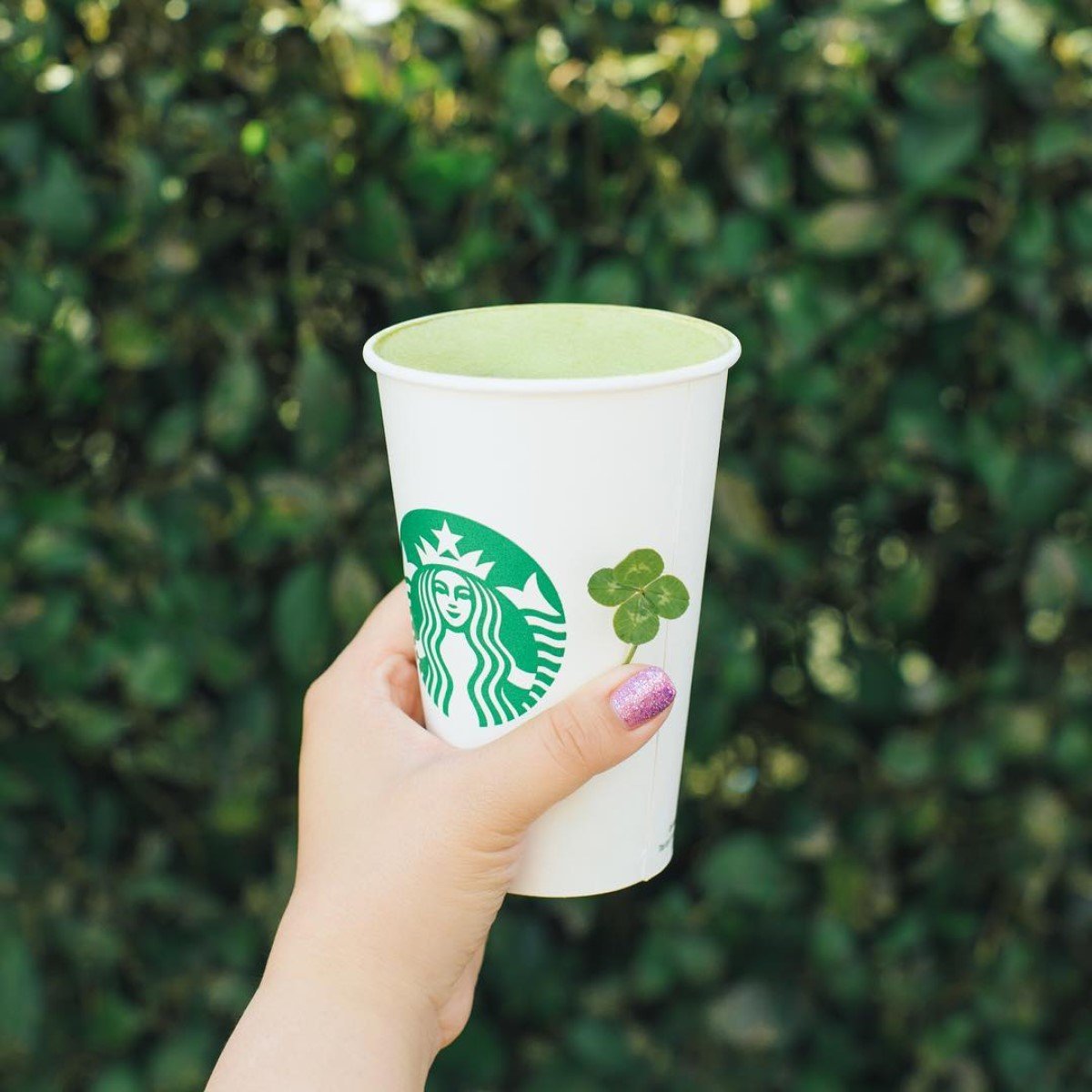 hand holding up four leef clover with cup of starbucks hot matcha latte in paper cup