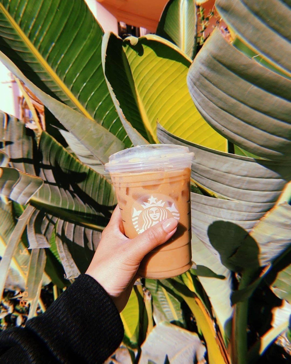 hand wearing longsleeves holding up cup of iced vanilla latte in sunny weather