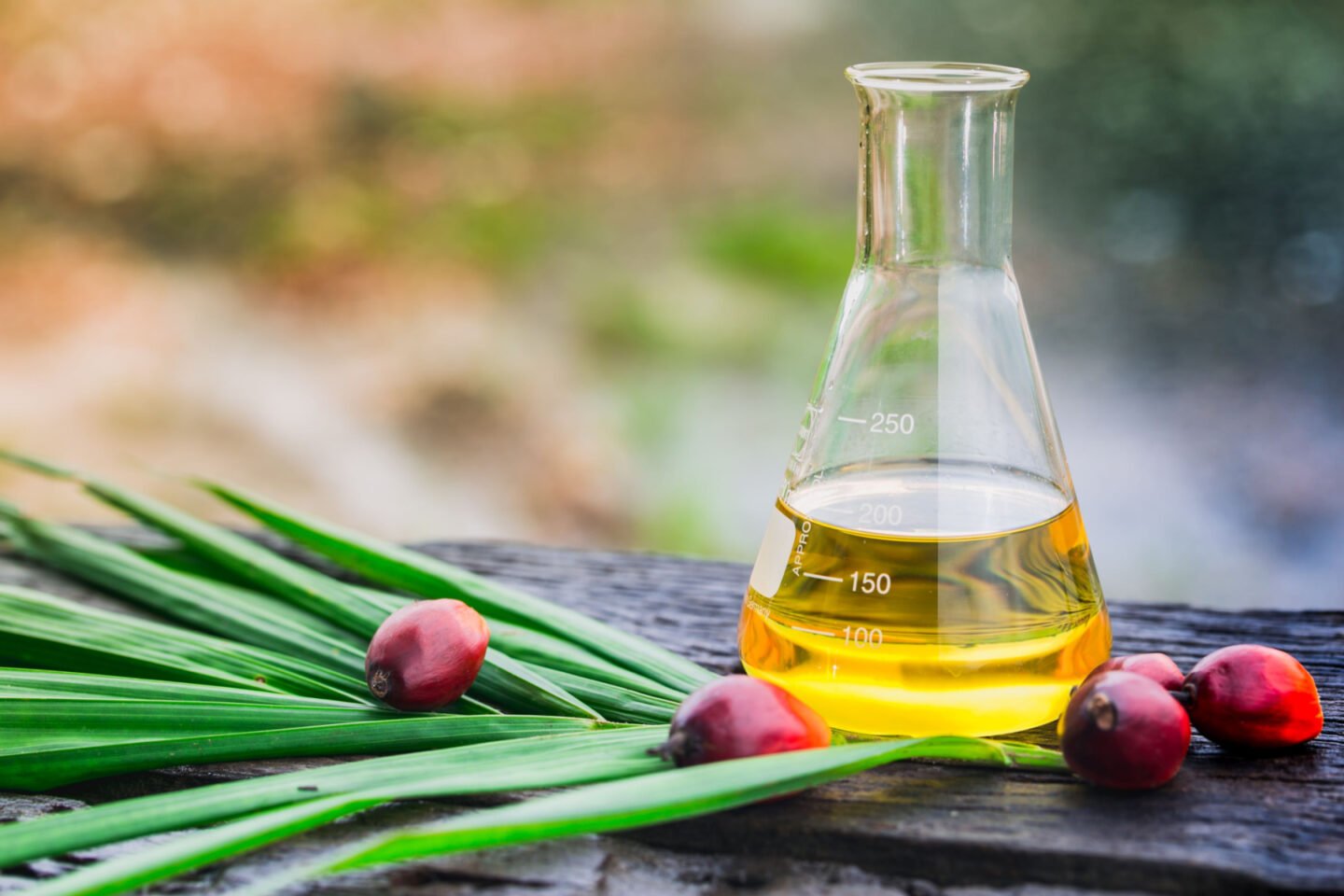 palm oil in erlenmeyer flask