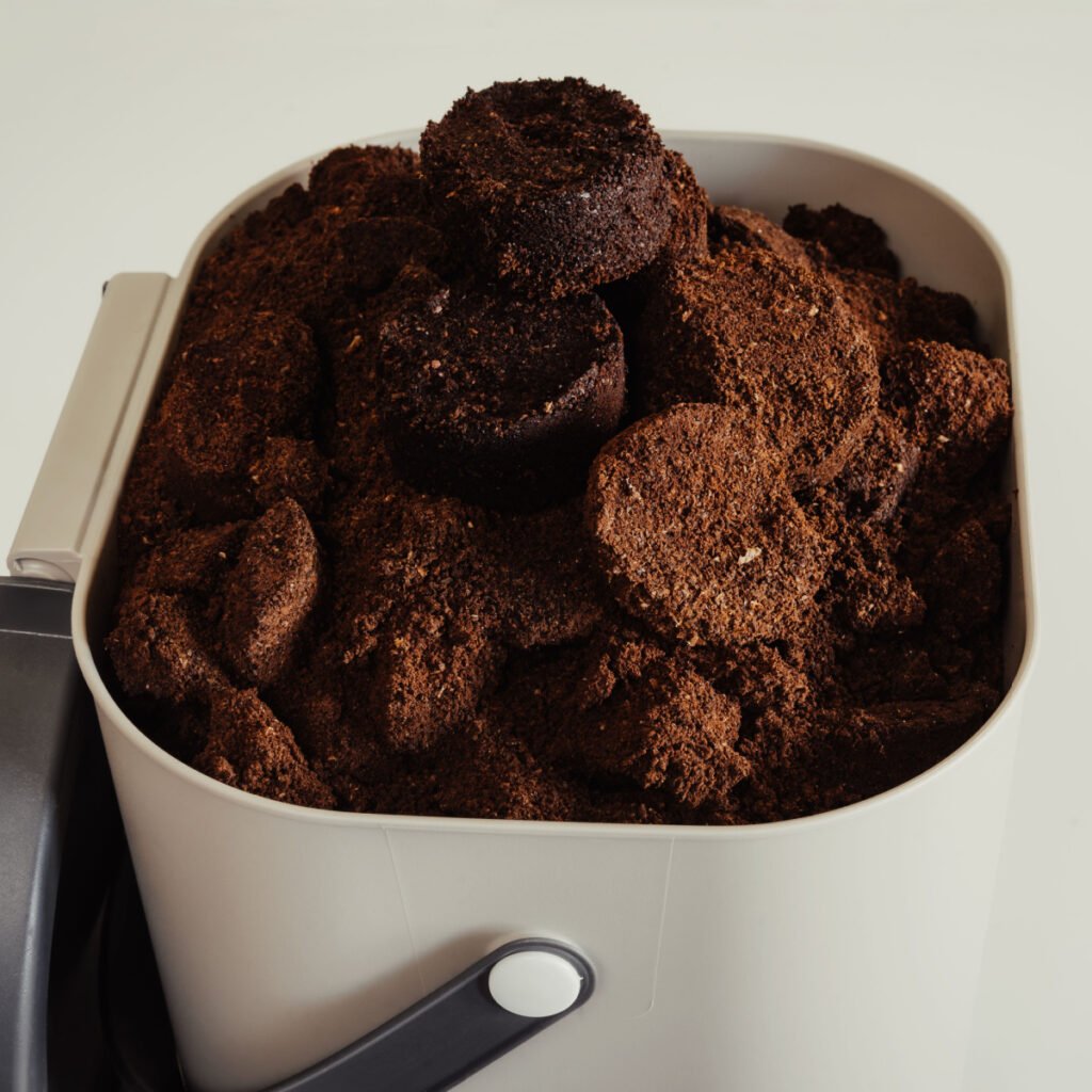 Can You Put Coffee Grounds In The Garbage Disposal? Tastylicious