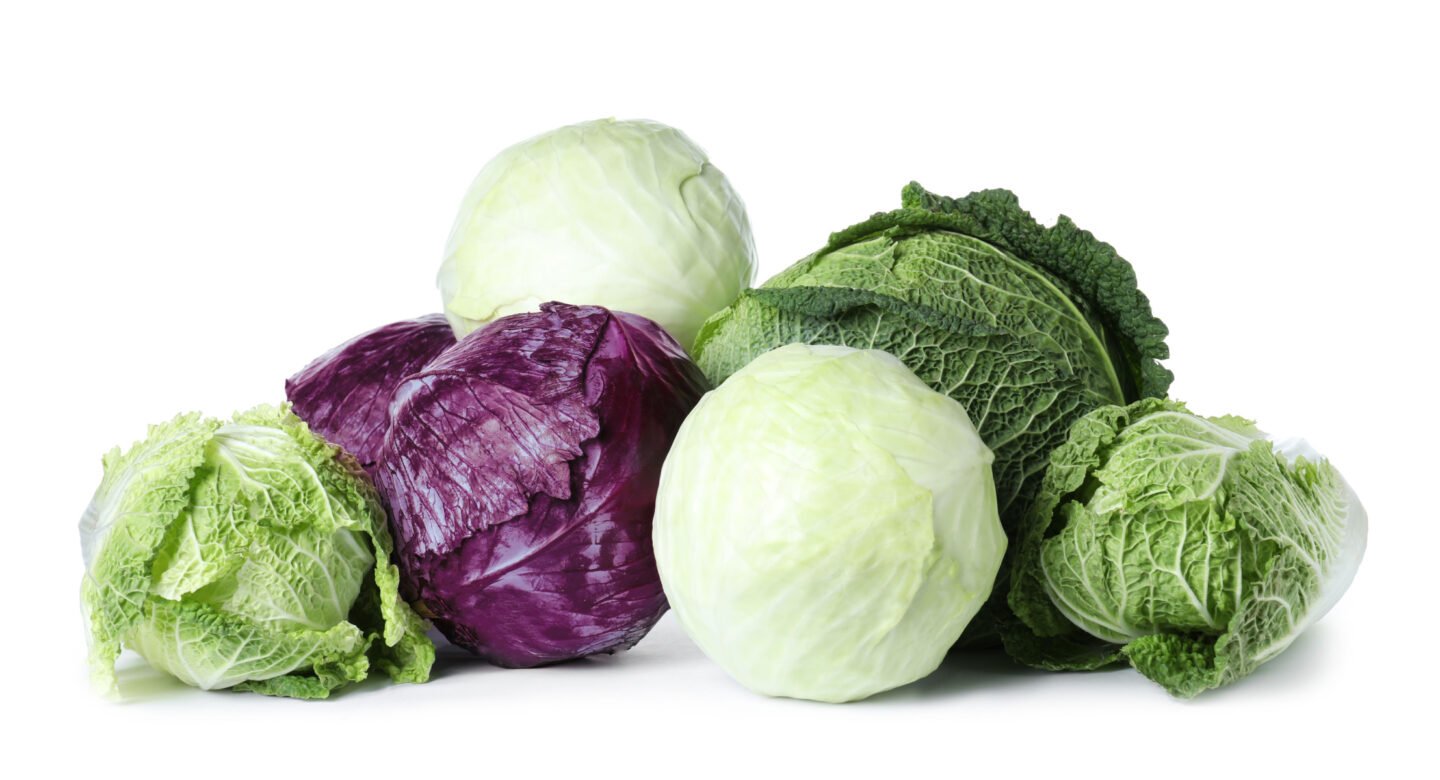 different types of cabbages uncut