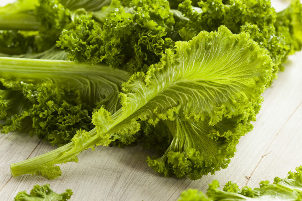 7 Kale Substitutes for Cooking Tastylicious