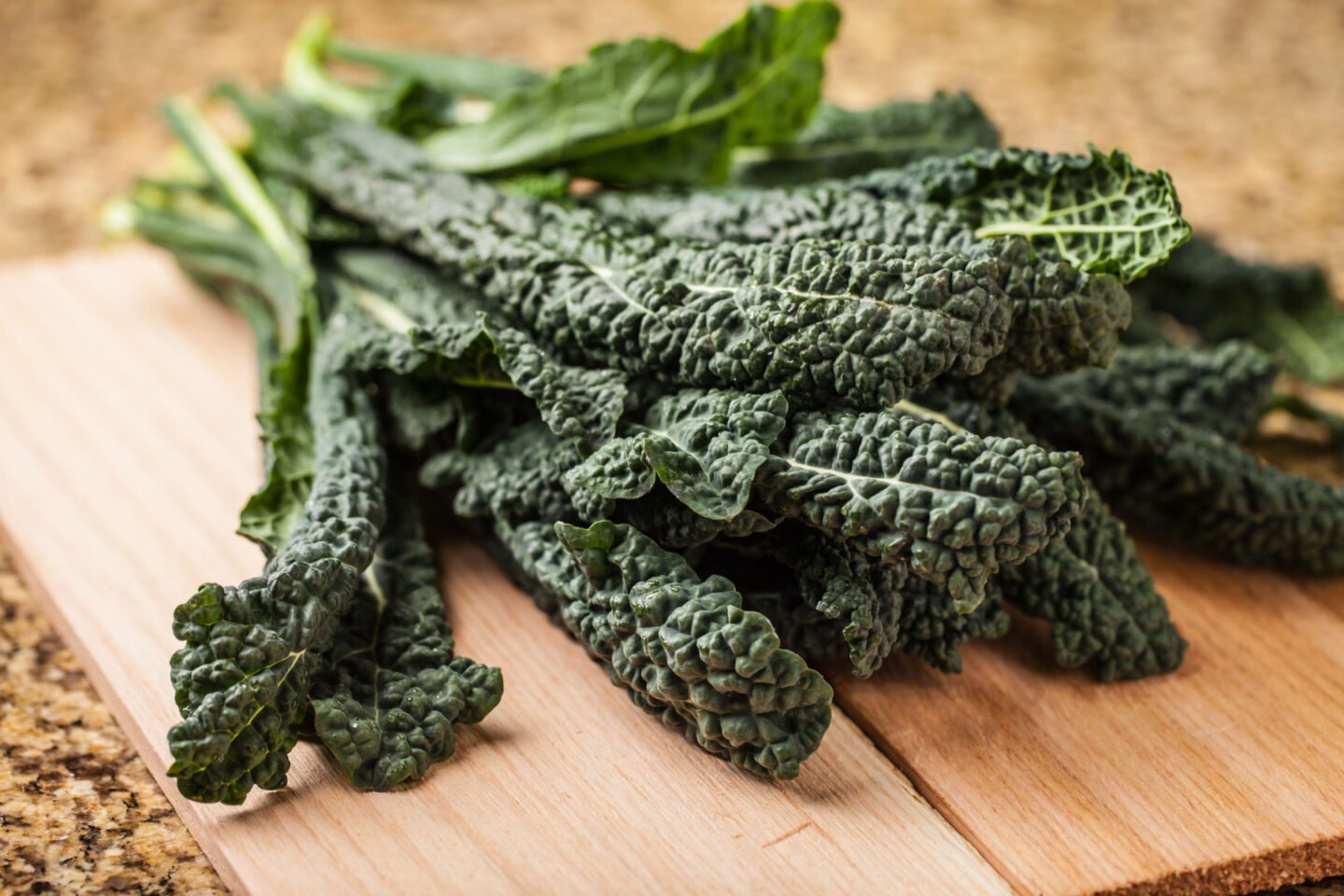 freshly harvested lacinato kale