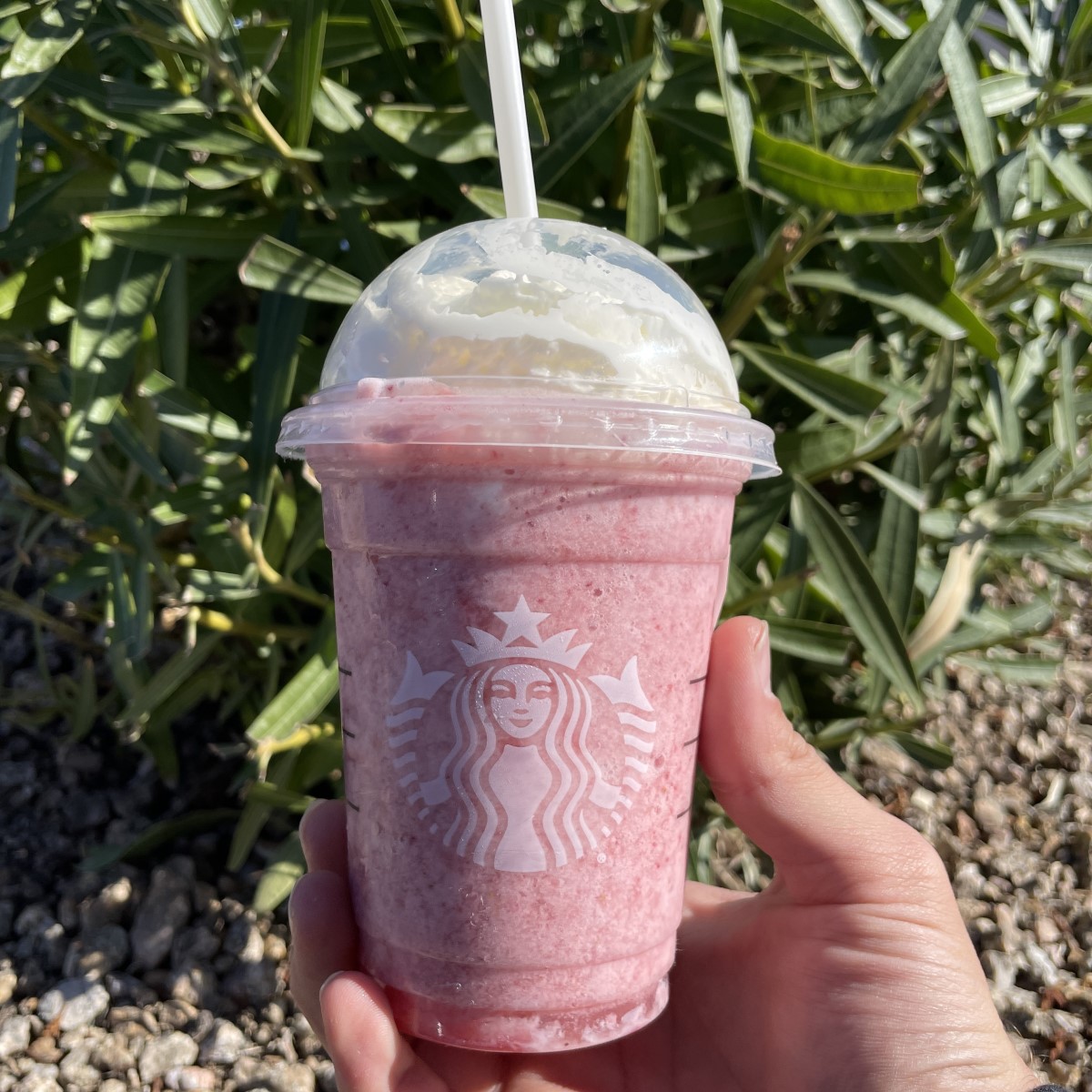 hand holding up cup of starbucks strawberry cheesecake frappuccino