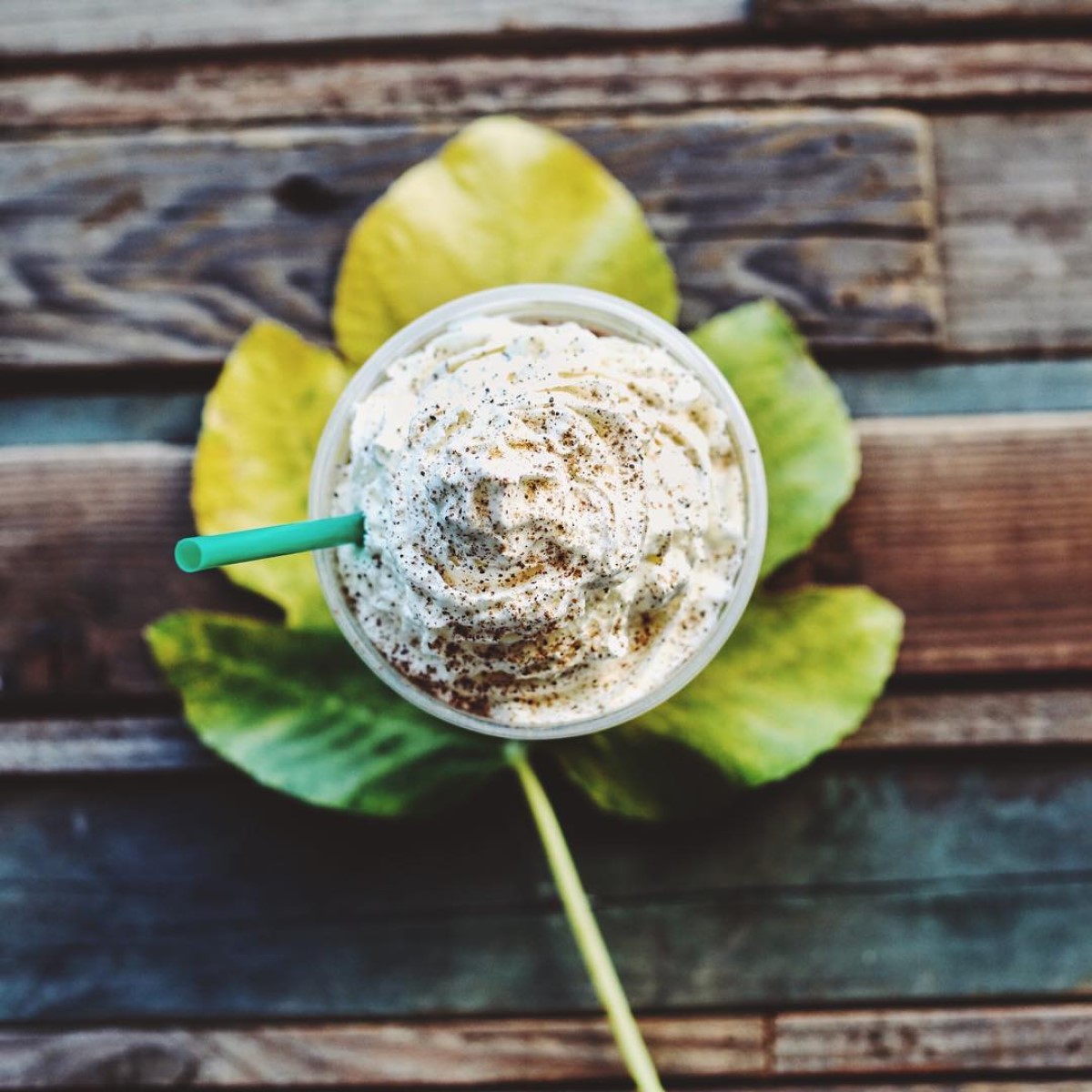 java chips blended into starbucks pumpkin spice frappuccino