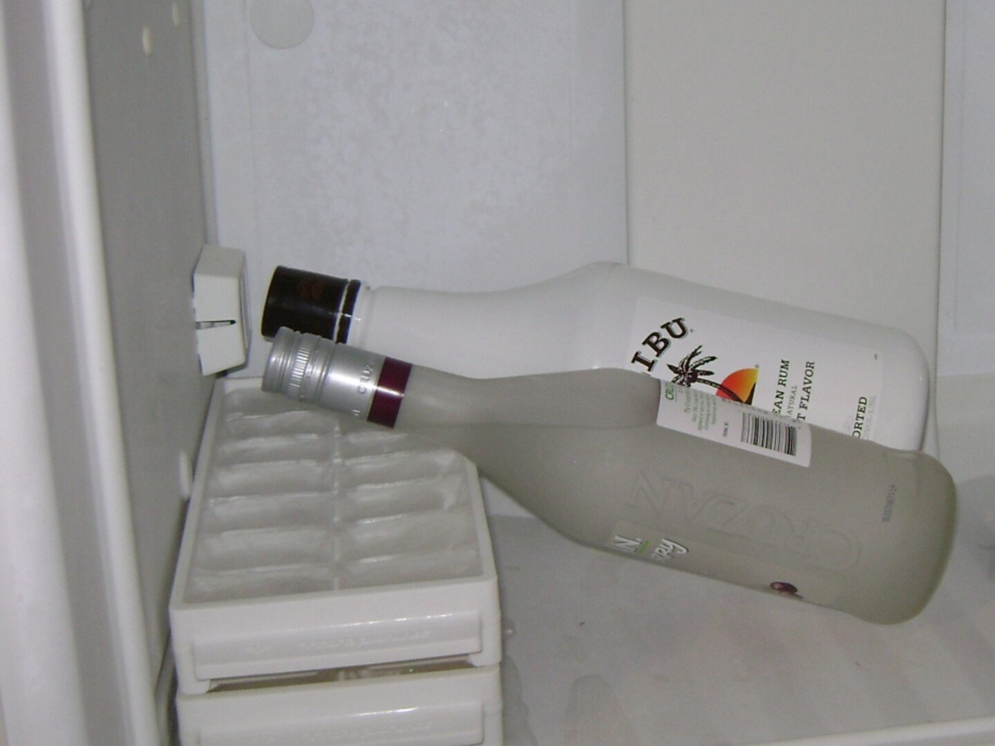 malibu rum bottle in the fridge