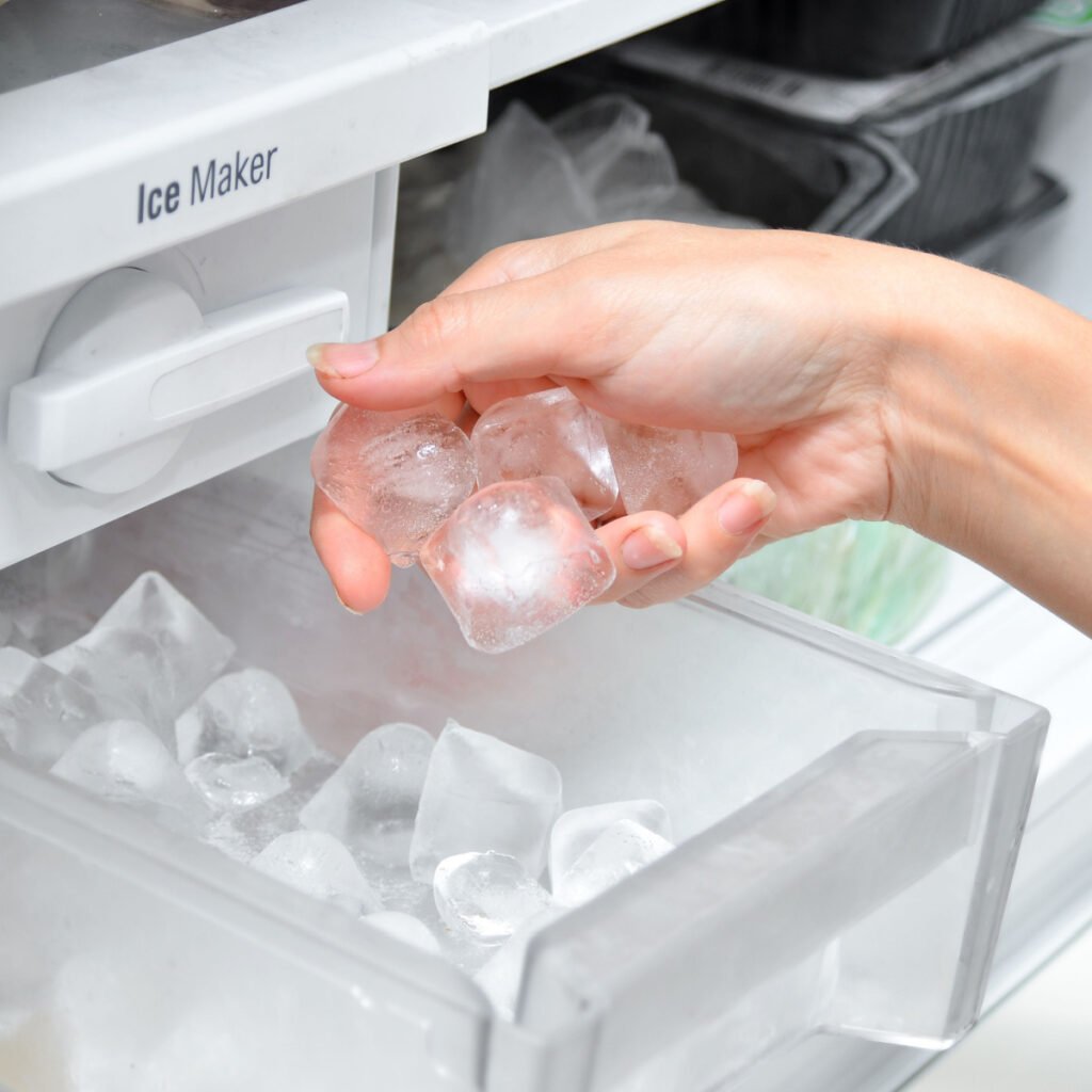 Why Are Nugget Ice Makers So Expensive? - Tastylicious