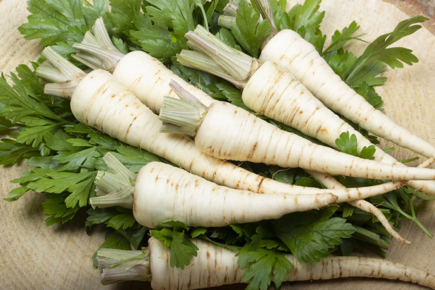 parsley roots