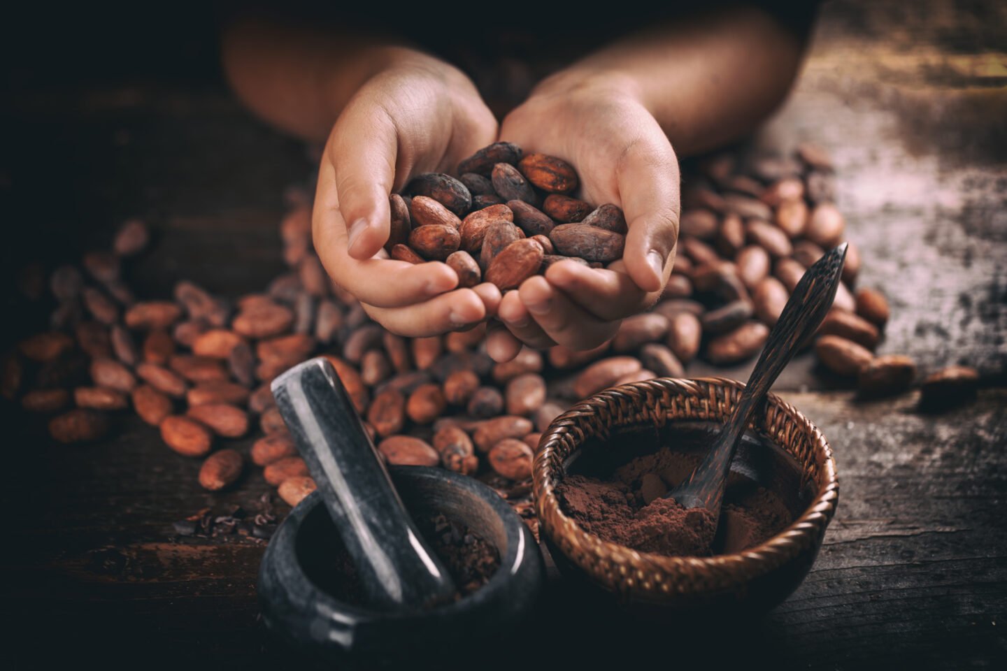 two-hands-holding-roasted-cacao-beans