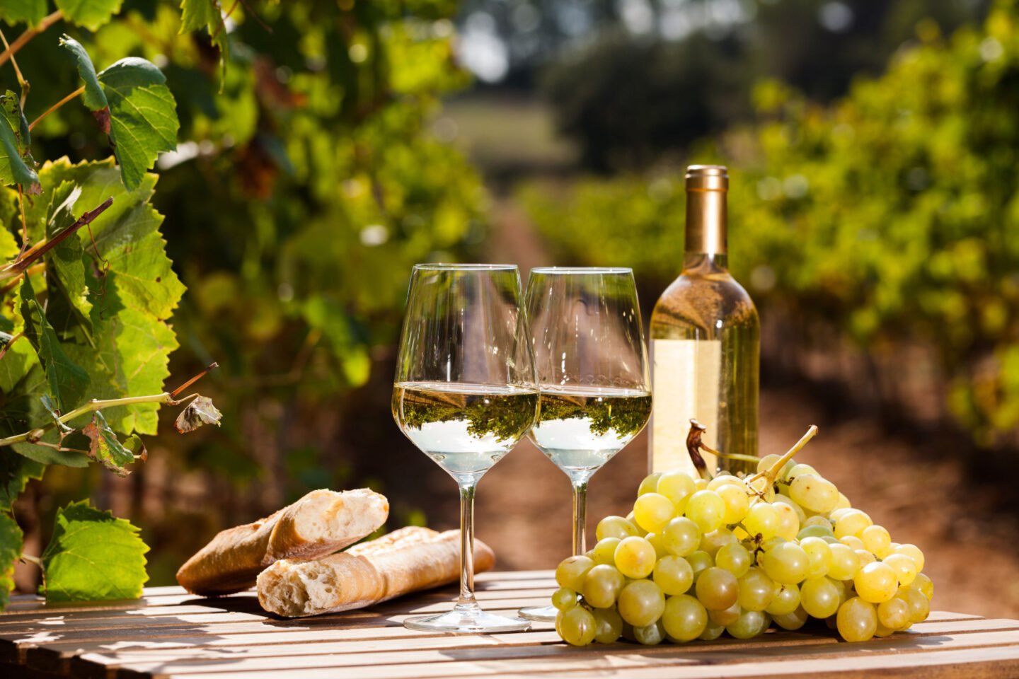 white wine made from white grapes