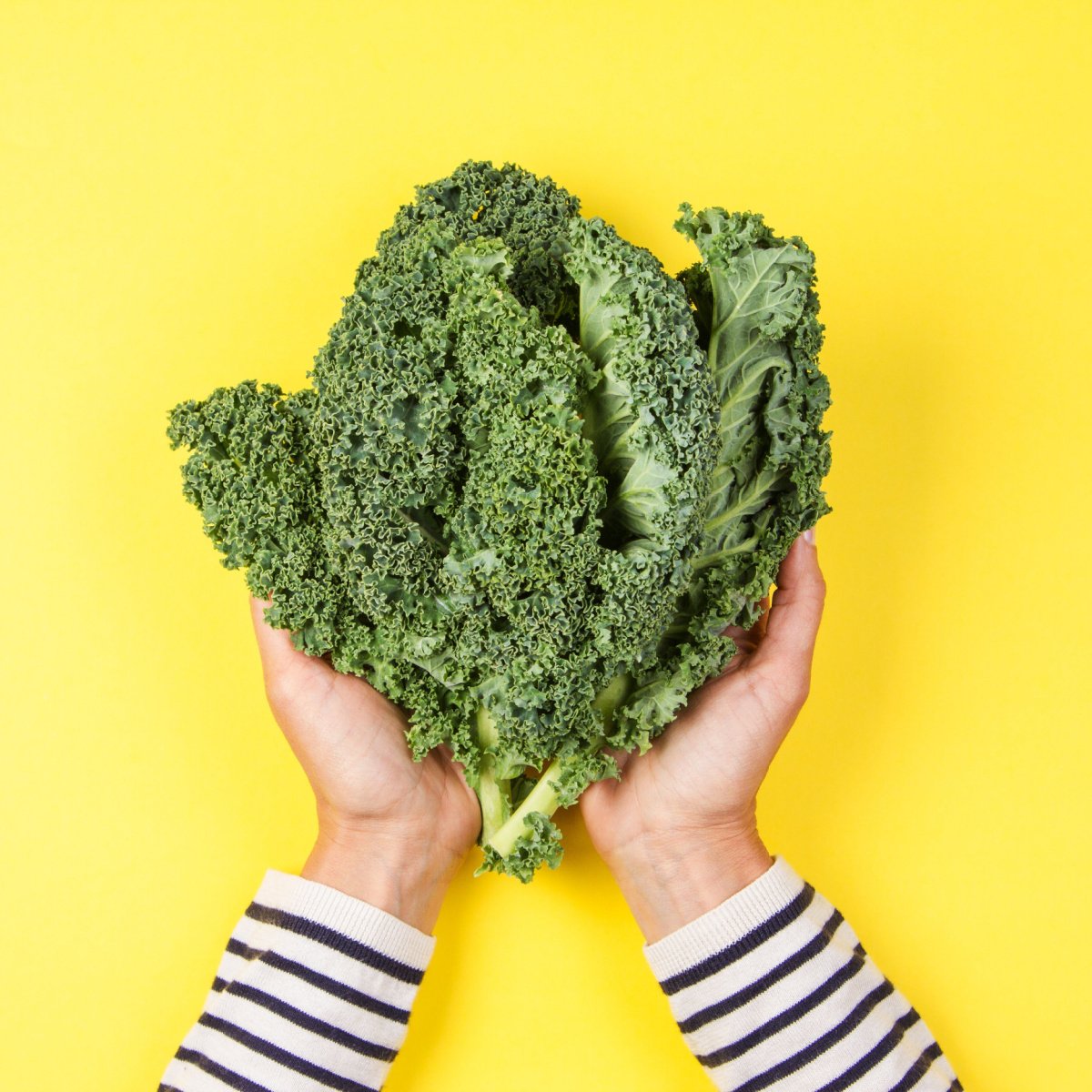 woman holding kale leaves