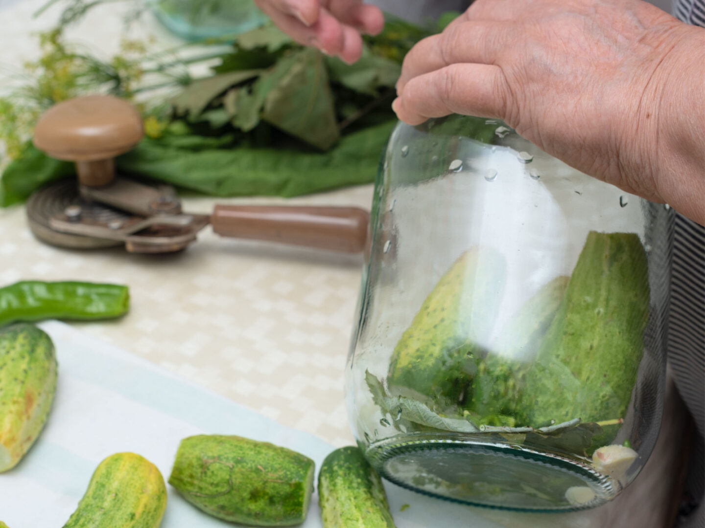 woman prepares cucumbers for pickling
