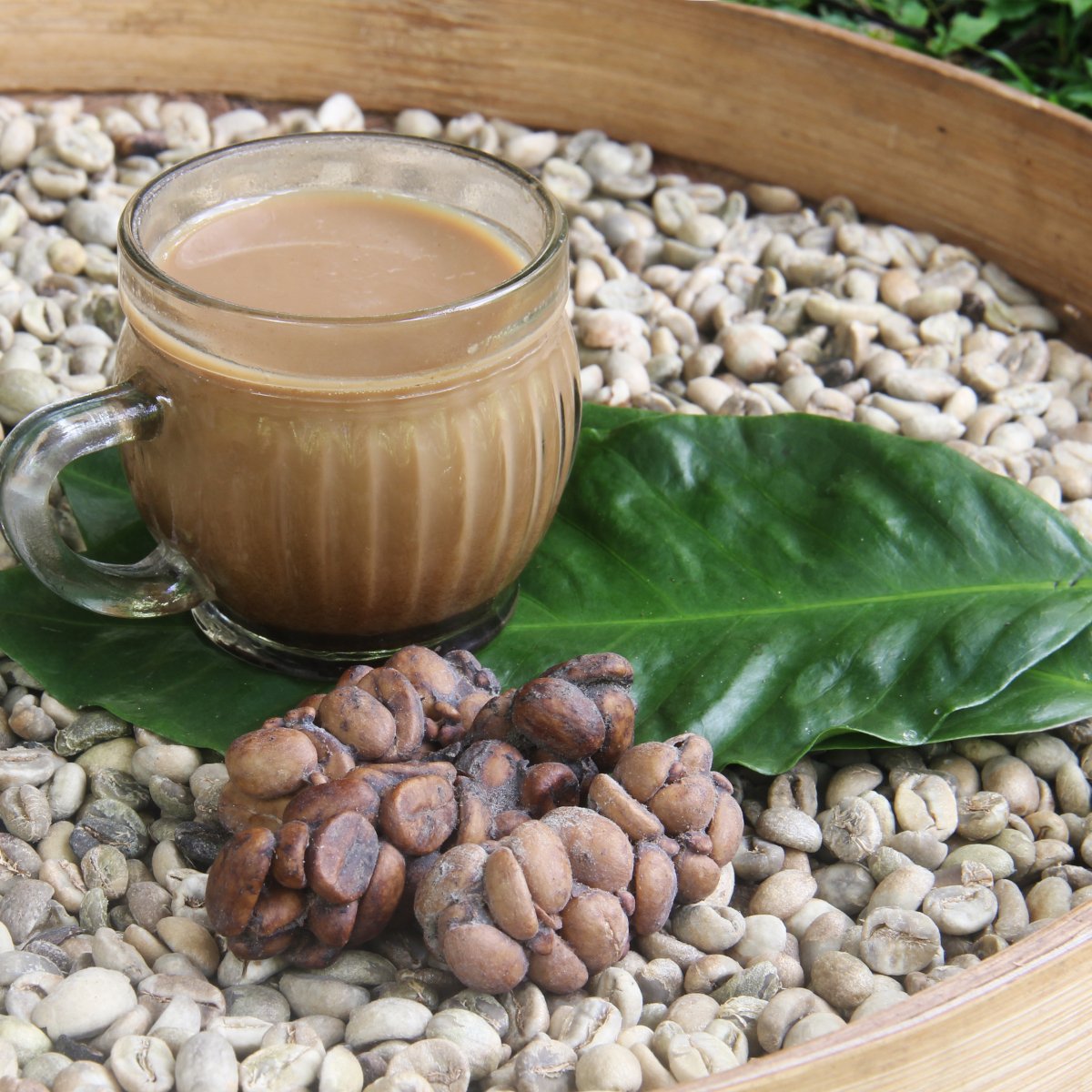 a-cup-of-coffee-beside-kopi-luwak-beans