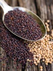 6 Best Mustard Seed Substitutes for Cooking