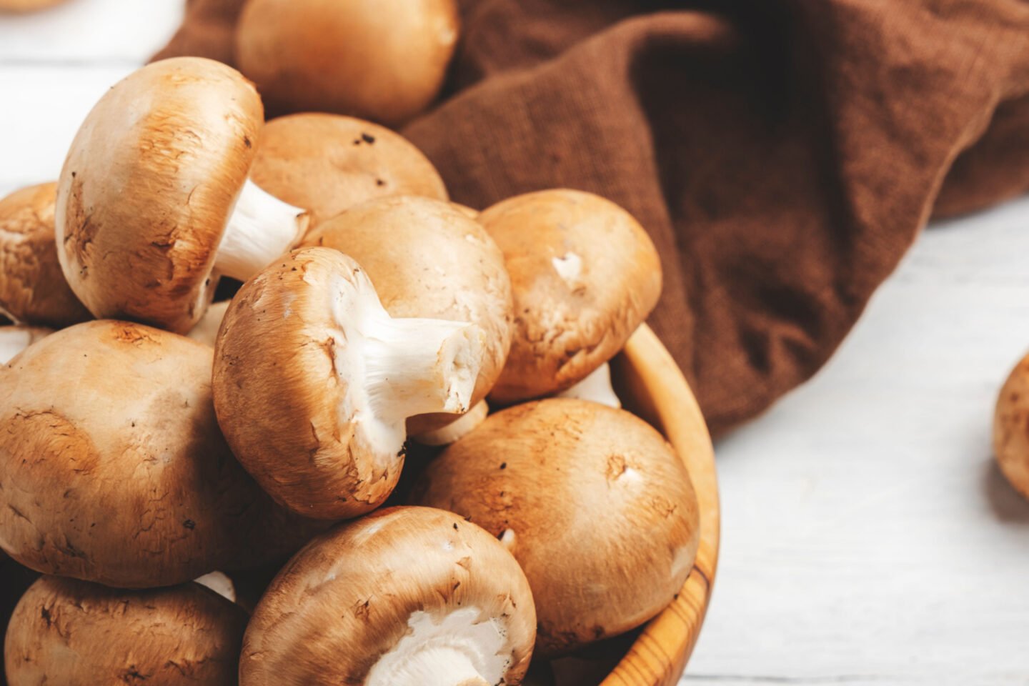 brown champignons agaricus bisporus